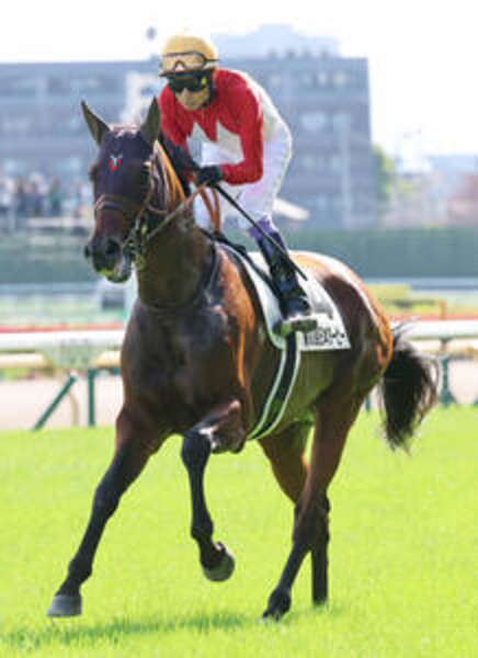 さすがレジェンド」「すごく綺麗な映像」競馬の祭典でも“ブレない”武豊