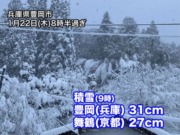 西日本日本海側で雪の勢い増す 兵庫・豊岡は積雪30cm到達|au Web