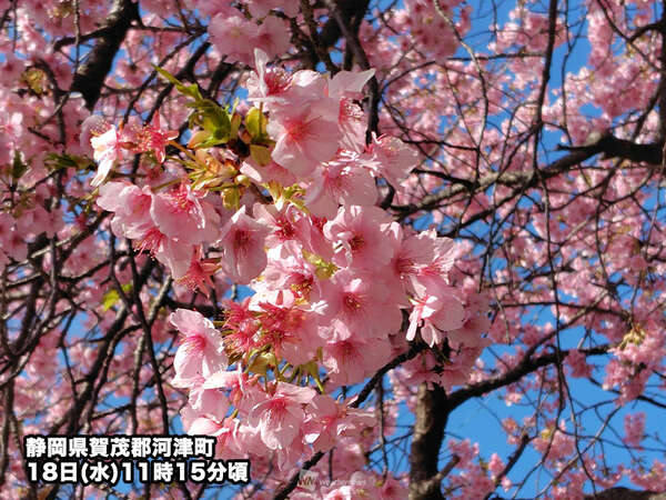 57c6bec626269fc2af7b43553845e7