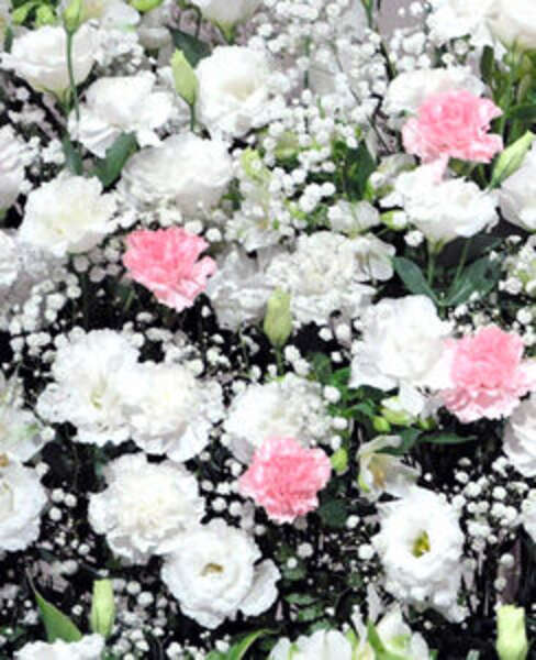 青柳文太郎さん死去 70歳 虚血性心疾患｜訃報トレンドまとめ