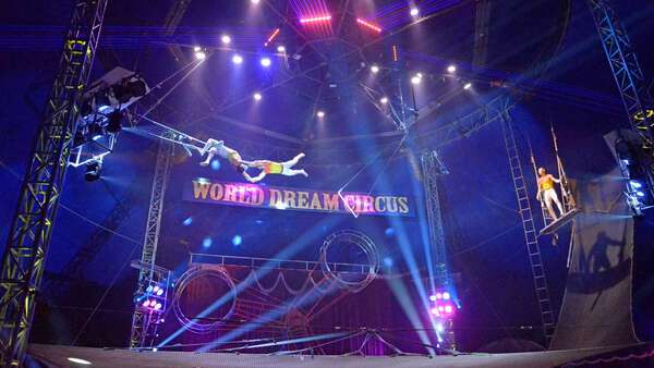 最新のサーカスイベント体験を楽しもう！