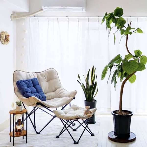 観葉植物×照明で雰囲気UP！ニトリの実例に学ぶ一人暮らしインテリア術|au Webポータルコネタニュース