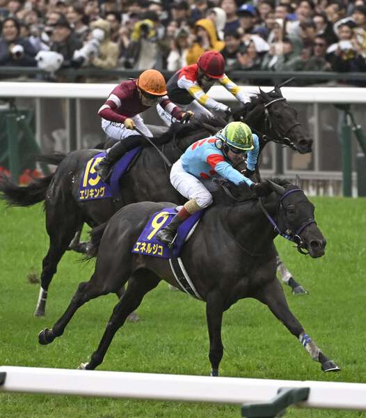 競馬の菊花賞、エネルジコが優勝 G1初制覇で重賞2勝目|au Webポータル