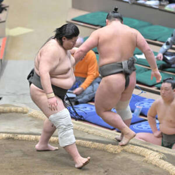 朝乃山の恩師命日に鶴英山が幕下復帰！師弟の絆と[2026最新]活躍を徹底解説