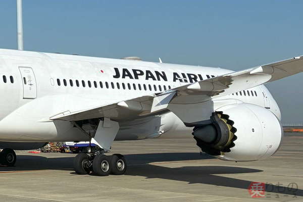 JALから「新たな特別デザイン機」出現…なにをアピール？ 機内も特別