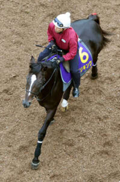 菊花賞  ジャージ 菊花賞】エリキングは坂路でスムーズな脚さばき 陣営「前走後の