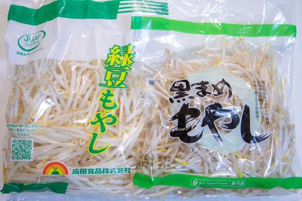 家計の強い味方「もやし」…実は種子は海外頼み かつては中国に依存