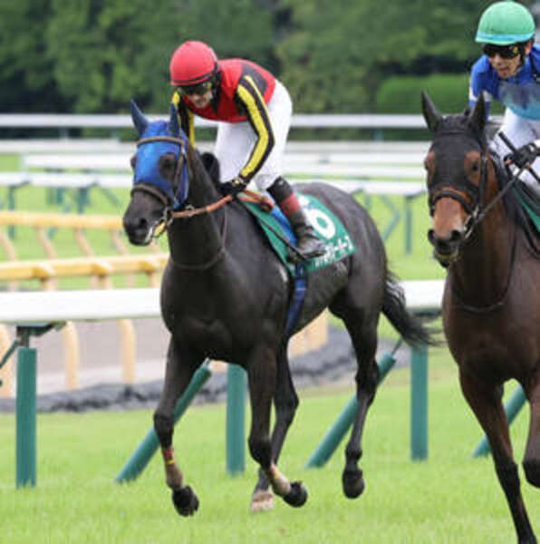 府中牝馬S】ルメール騎手「4コーナーでごちゃごちゃ…」1番人気