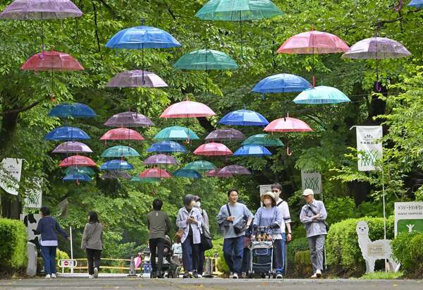 ナイスな色彩！那須塩原の千本松牧場で楽しむ傘のアート