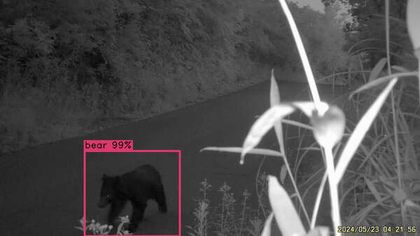 画像が削除されました