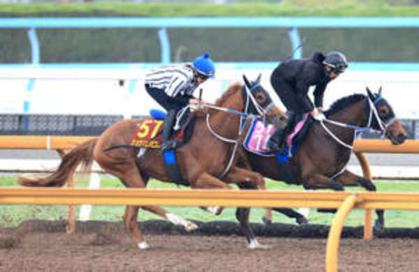 注目馬動向】「3歳牝馬で斤量も軽い」オルフェーヴルの娘ジュウリョク