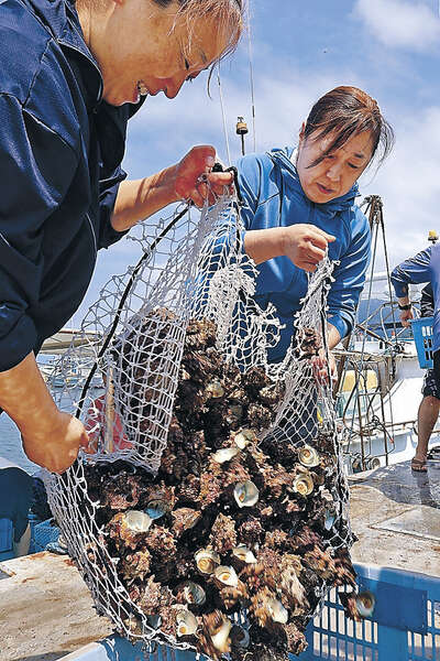 サザエ・アワビの素潜り漁開始 舳倉島、海女130人|au Webポータル国内