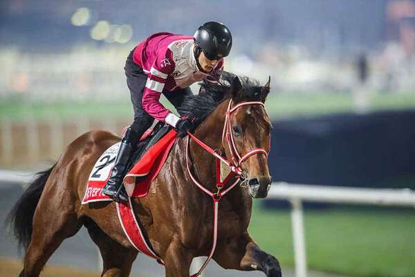 フォーエバーヤング JRA賞3冠|au Webポータルスポーツニュース