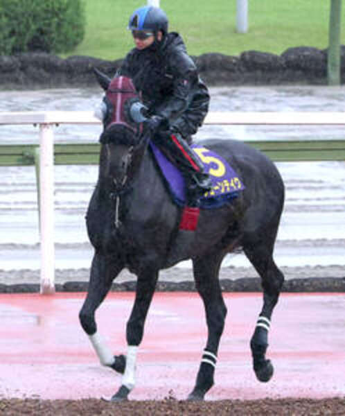 宝塚記念】ダービージョッキー松山弘平騎手と挑むジューンテイクが