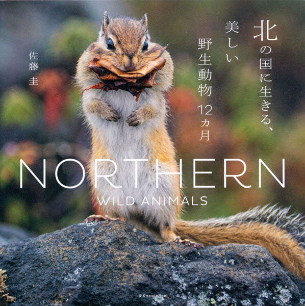 北海道に生息する野生動物たちの一年を追いかけ、その暮らしぶりに迫る