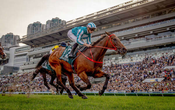 これが世界最強！ロマンチックウォリアー、G1・14勝目の貫禄|au Webポータルスポーツニュース