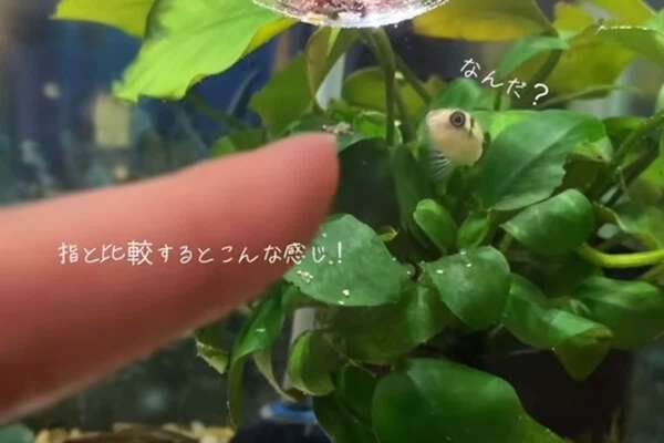 画像が削除されました