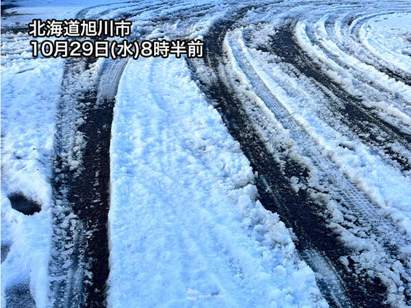 f018db878ed38518cc2c865710d047