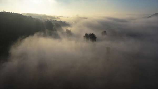 水面に映る雲海が描く山水画の朝景