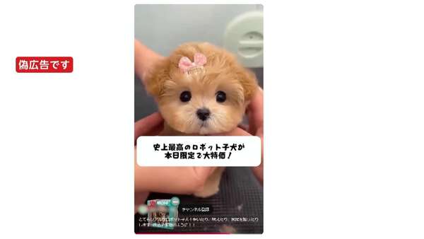 画像が削除されました