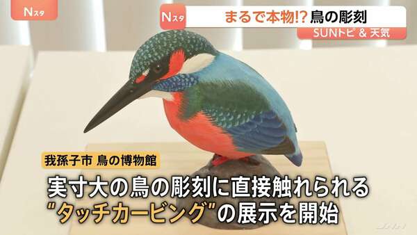マンゴーウッド　LAND 壁掛け　飛ぶ鳥の彫刻 飛ぶ鳥の壁掛け 5-D | 禽々